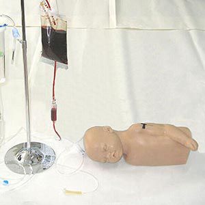 Infant head and arm venipuncture injection model